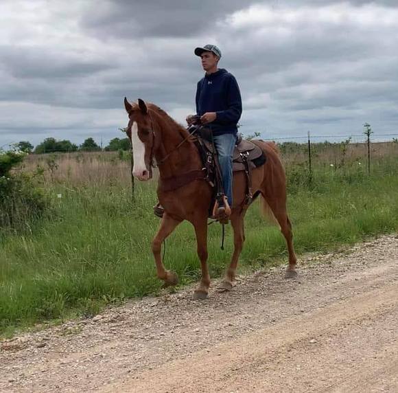 Meet your Posher, Jordan - Picture 1 of 1